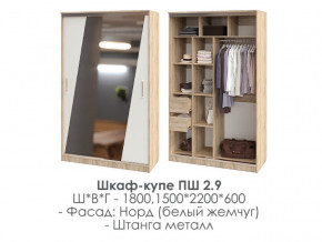 шкаф-купе ПШ-2.9 1500 Норд Белый жемчуг 1500 в Миньяре - minyar.magazinmebel.ru | фото